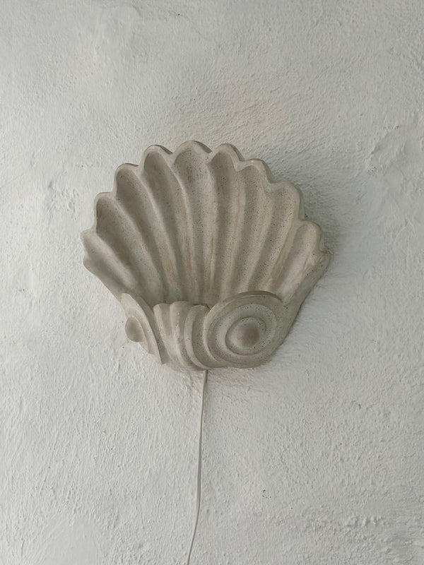 Shell Sconce