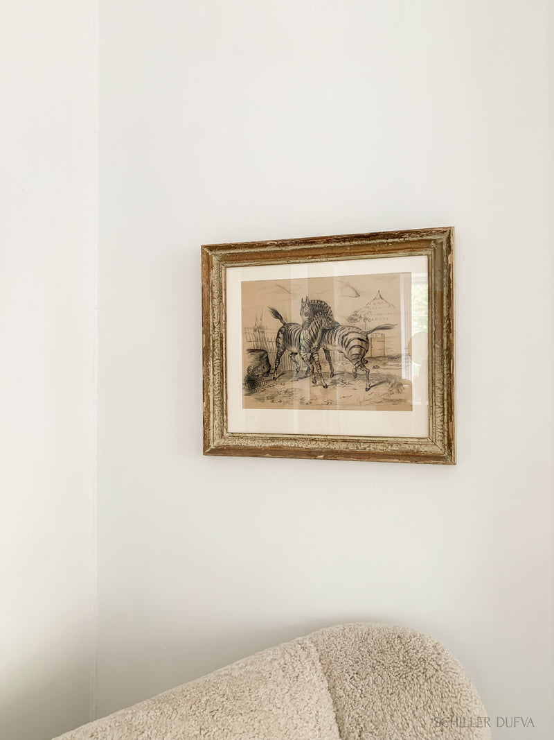 Pencil Drawing Zebras