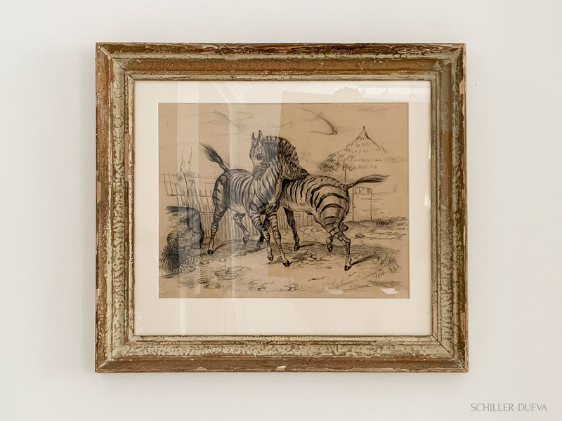Pencil Drawing Zebras