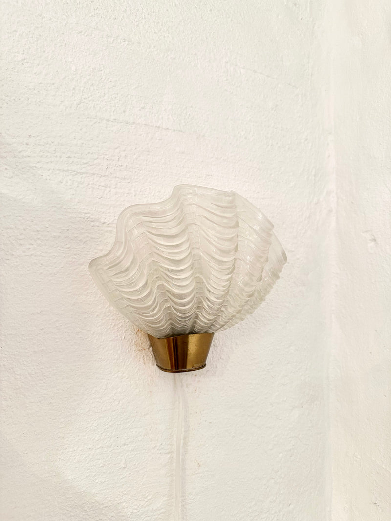 Pair of Coquille Wall Sconces