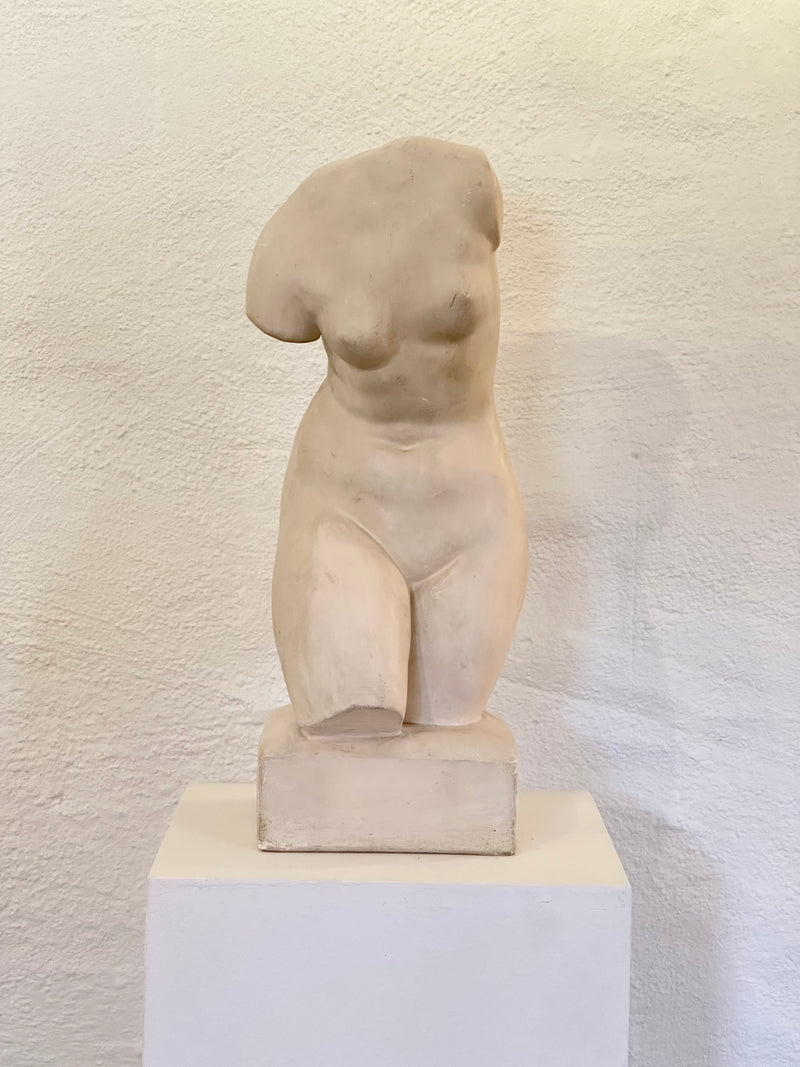 Female Torso