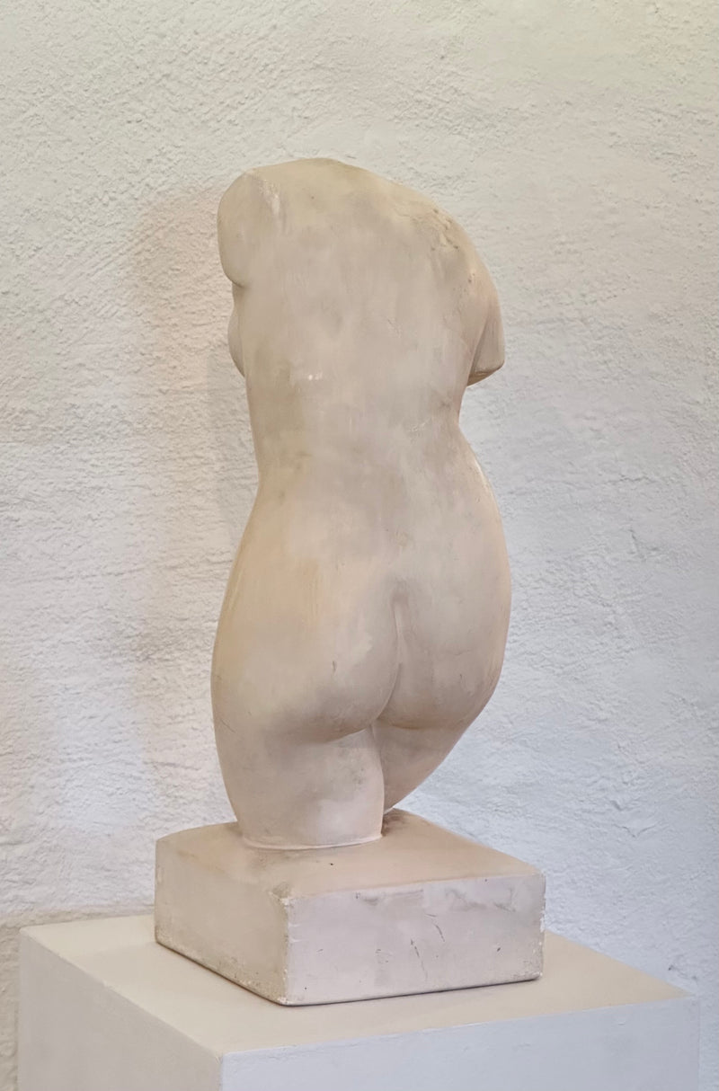 Female Torso